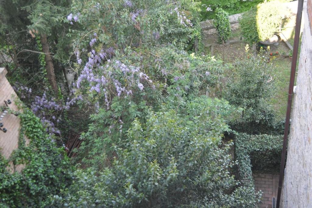 דירות פרוג'ה Il Profumo Del Lauro מראה חיצוני תמונה